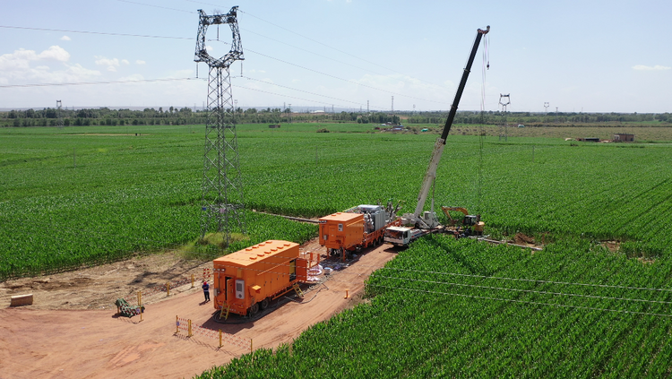 国网定边县供电公司:“薯”光照亮富民路 今朝遍开幸福花_fororder_图片2