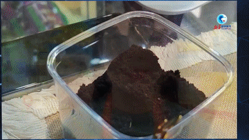 外眼看进博:巴西“超级水果”背后的进博磁力