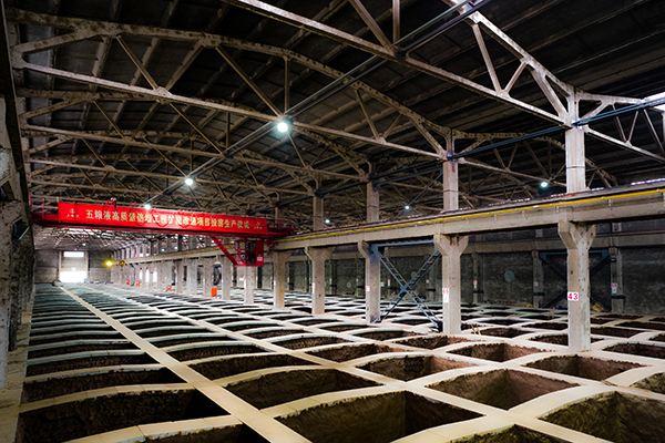 五粮液“高质量倍增工程”技改扩能项目投窖生产_fororder_扩能改造项目-供图-五粮液集团3