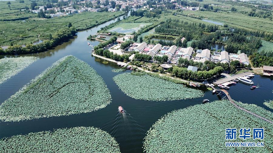 新华网■雄安新区：锚定高质量发展 奋力书写新时代答卷