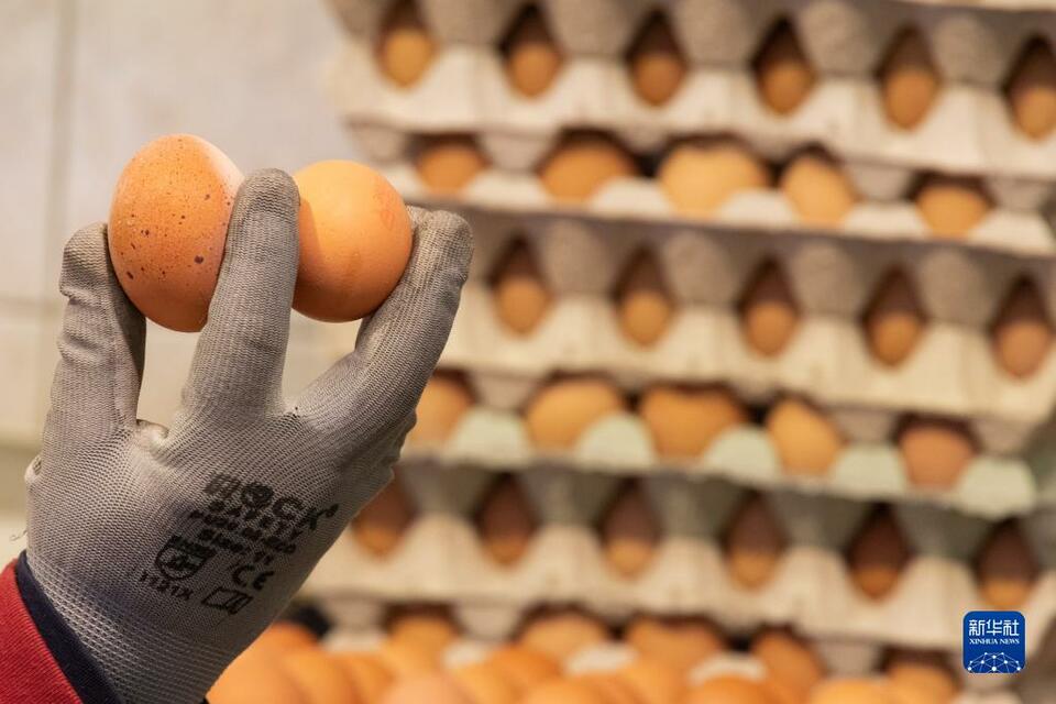 匈牙利将鸡蛋和土豆列入限价食品清单