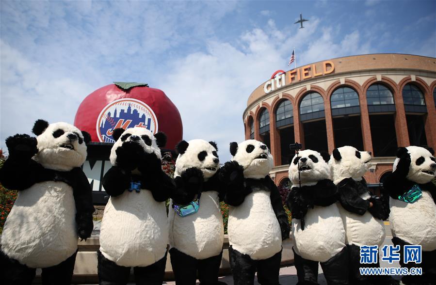 「新华网」中国花灯将登陆纽约花旗球场 点亮纽约新年(组图)