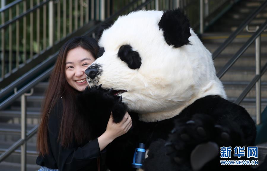 「新华网」中国花灯将登陆纽约花旗球场 点亮纽约新年(组图)