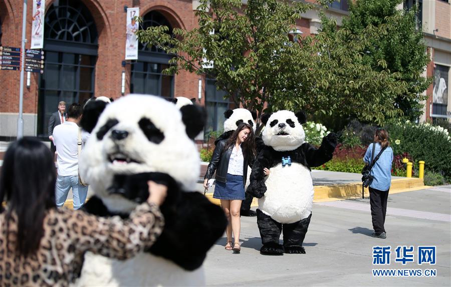 「新华网」中国花灯将登陆纽约花旗球场 点亮纽约新年(组图)