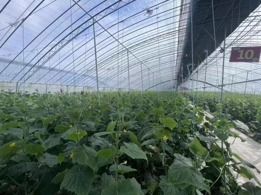 宝鸡金台:一核心四聚焦打造“四美”红旗村_fororder_图片2_副本