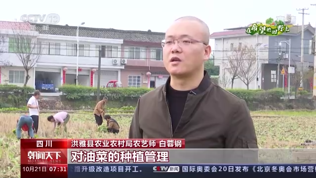 在希望的田野上丨全国秋冬种过半 各地全力提升播种质量