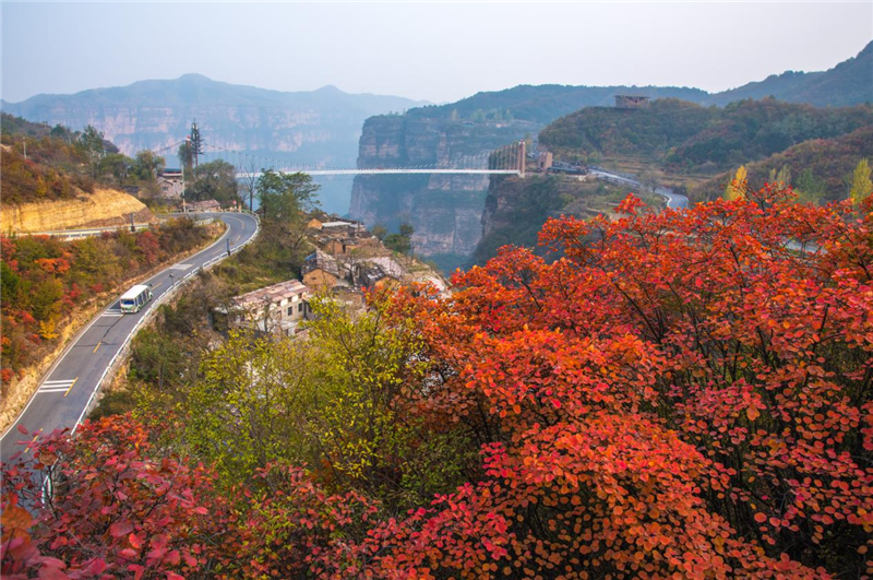 壮丽秋景 摄影 彭捷10月下旬,安阳林州太行大峡谷景区进入红叶最佳