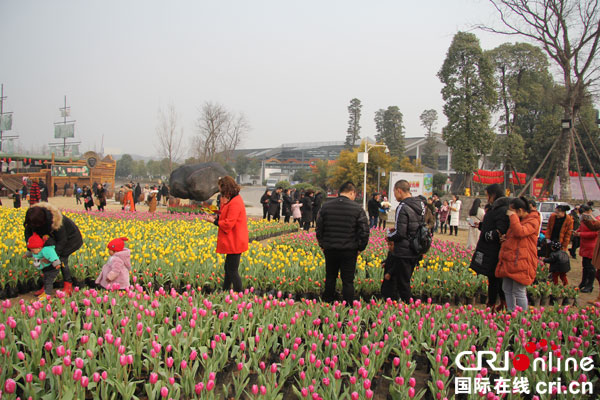 图片默认标题_fororder_漫步花间