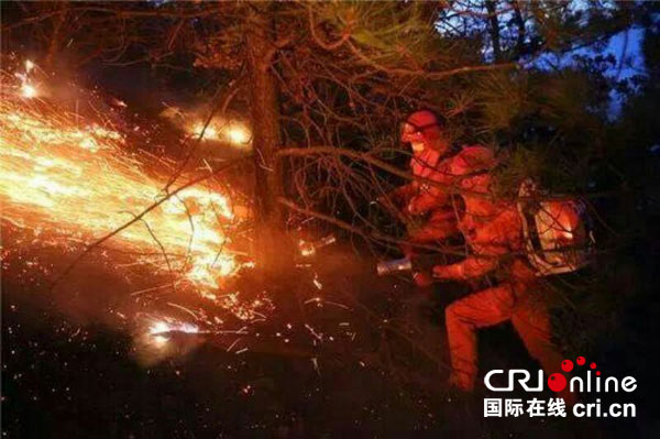 图片默认标题_fororder_4