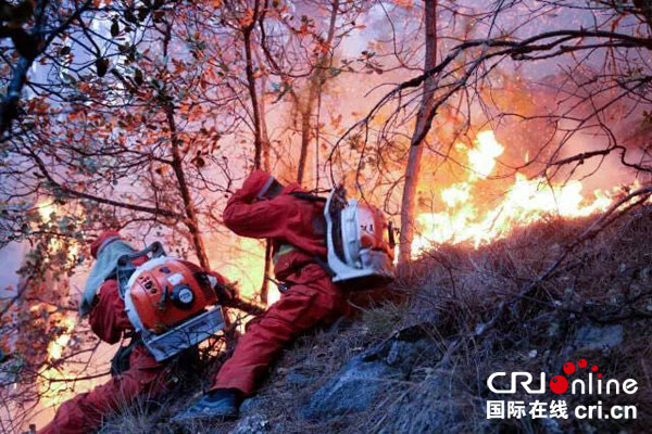 图片默认标题_fororder_2