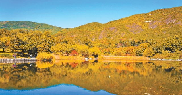 北京市属公园30处彩叶观赏地各美其美 北京市属公园30处彩叶观赏地各美其美