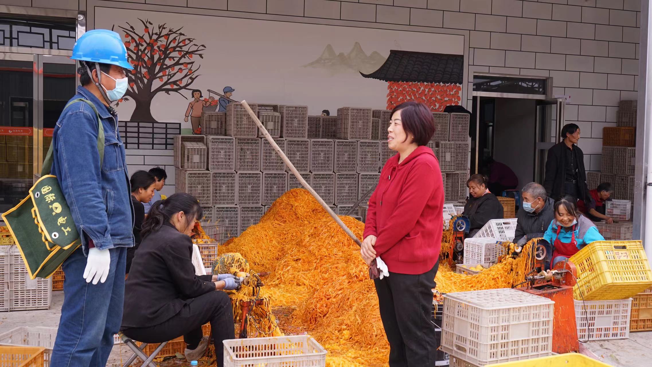 国网渭南供电公司:强化作风提服务 助力产业促增收_fororder_微信图片_20221026161731