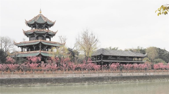 （焦点图）春色动人 800米沿江观花长廊亮相成都望江楼公园