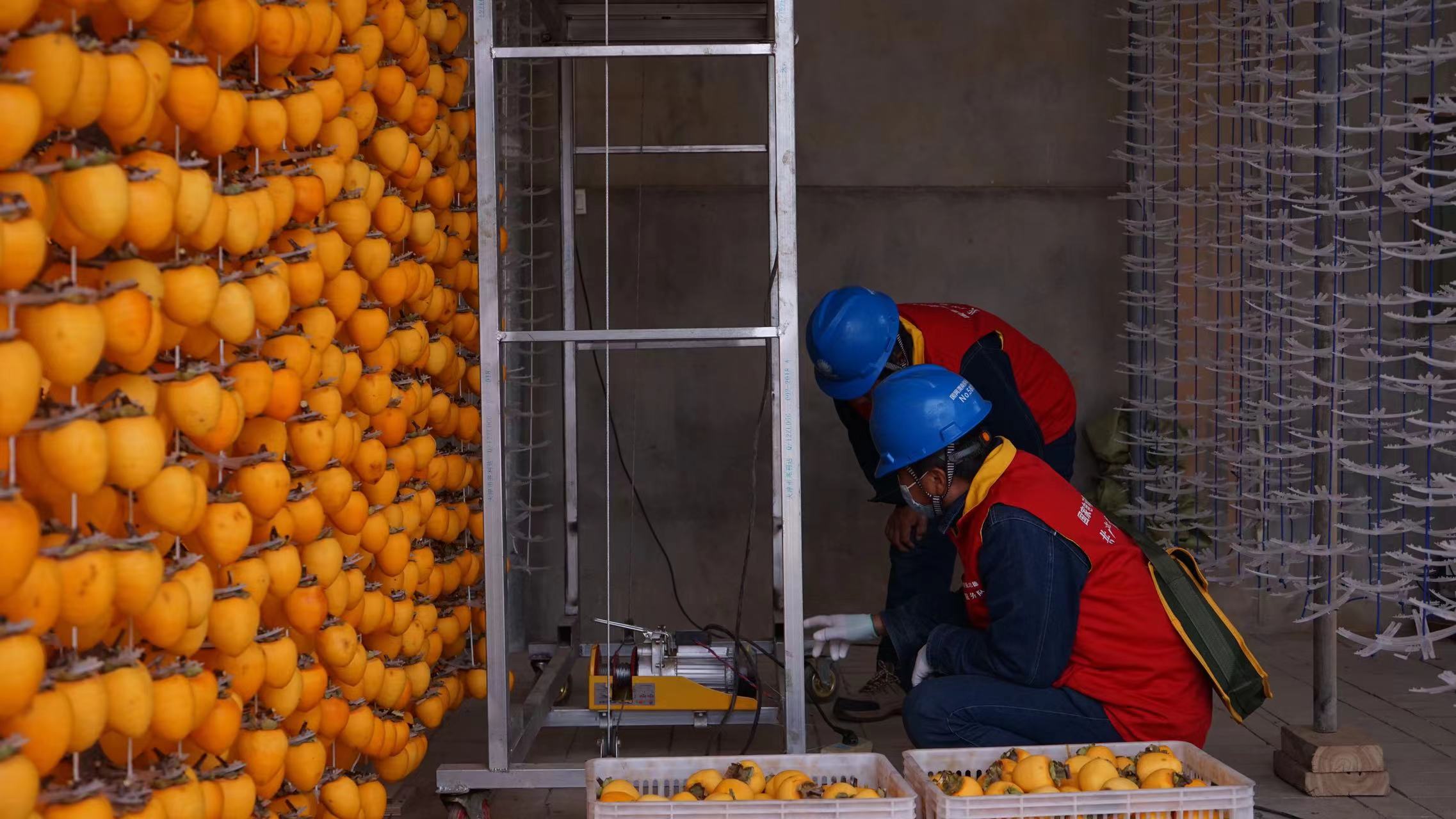 国网渭南供电公司:强化作风提服务 助力产业促增收_fororder_微信图片_20221026161719