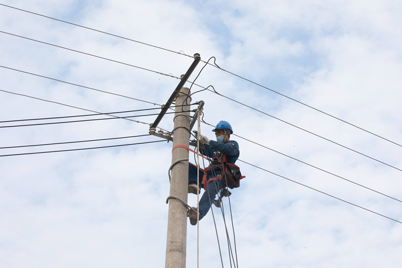 国网渭南供电公司:整治架空线缆 提升运行质效_fororder_图片4