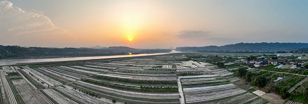 宜宾翠屏:“方寸天地”里的“翠屏印象”_fororder_思坡镇中河村-王铁松