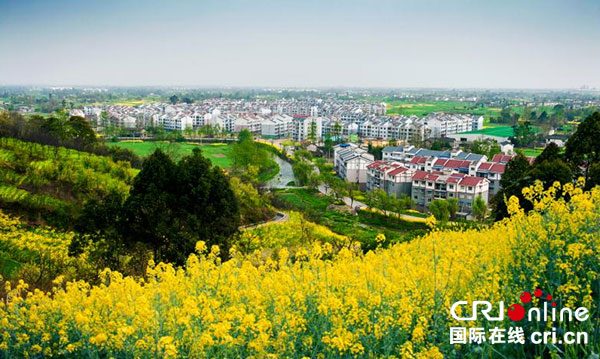 图片默认标题_fororder_1