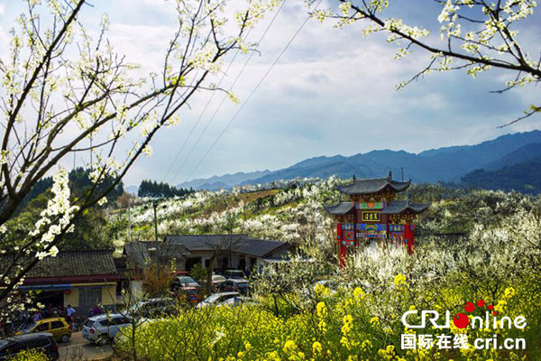 图片默认标题_fororder_2