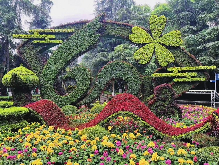 (转载)成都菊花展开幕