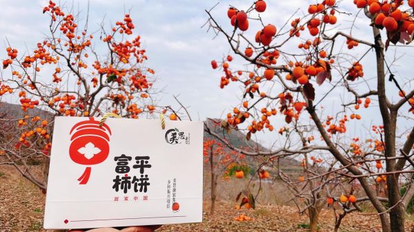 美思康宸集团“乡村振兴项目组 富平站”今日开启 美思康宸集团“乡村振兴项目组 富平站”今日开启