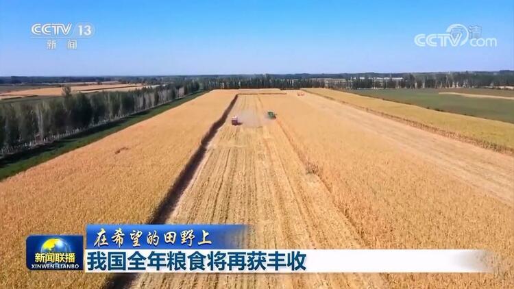【在希望的田野上】我国全年粮食将再获丰收