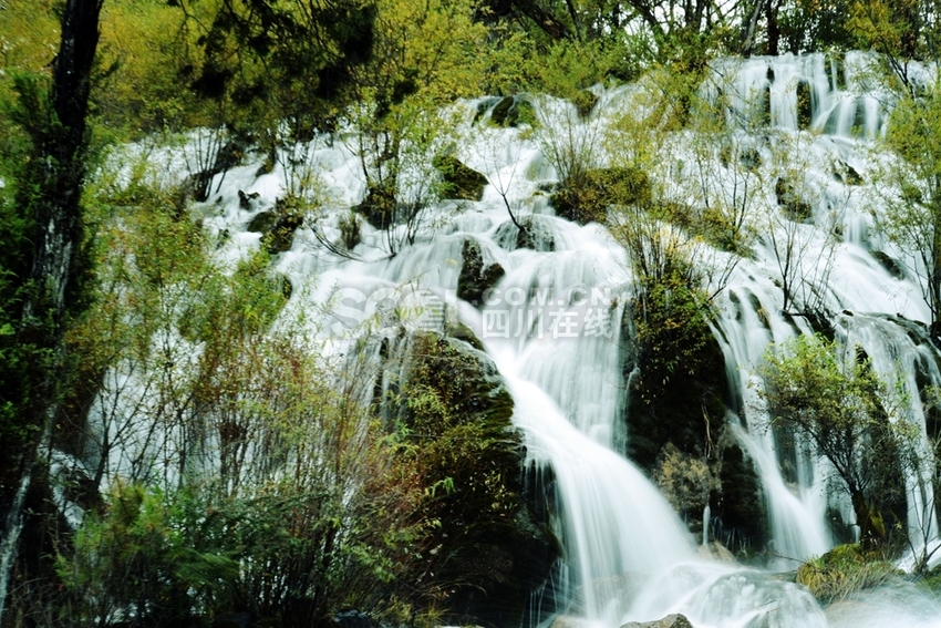 （勿签）（导航甘孜）九寨沟景区3月8日开园？官方：2月26日开会后确定