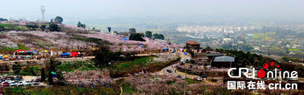 图片默认标题_fororder_2