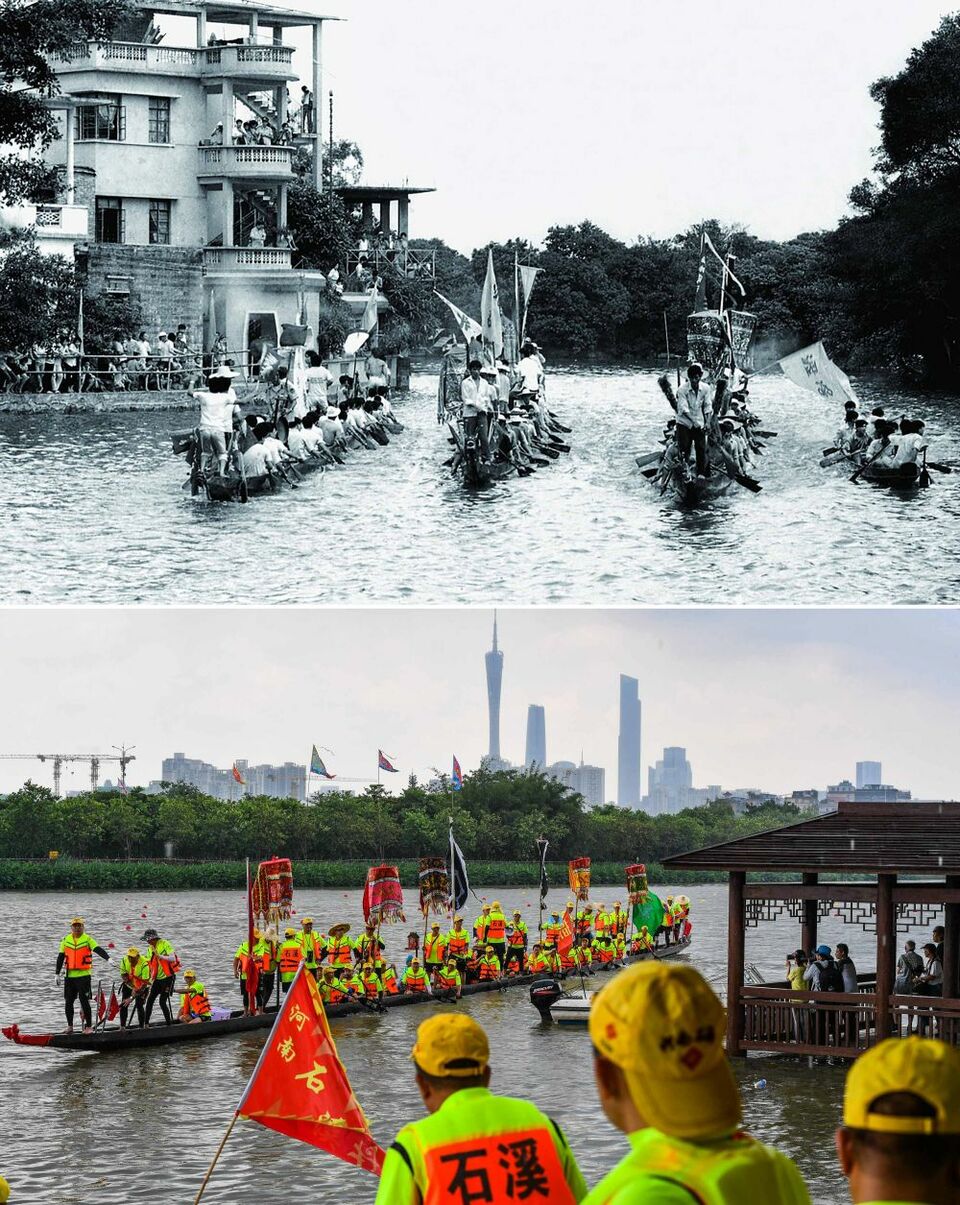 湿地之美｜广州海珠湿地
