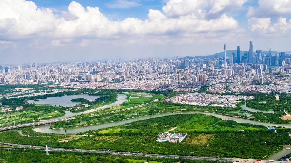 湿地之美｜广州海珠湿地