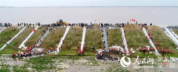 黑龙江：统筹指挥、科学高效 筑牢防汛抗洪的“龙江大堤”