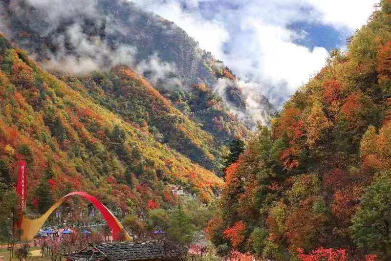 2022年四川红叶生态旅游节主会场暨黑水县第十届冰川彩林生态文化旅游季正式启幕_fororder_黑水彩林-供图-黑水县委宣传部