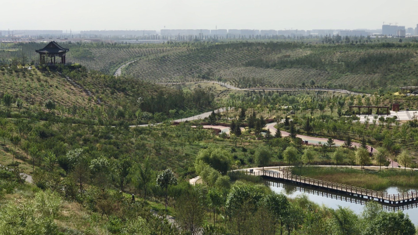 图片默认标题_fororder_12-6