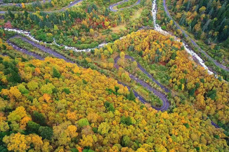 2022年四川红叶生态旅游节主会场暨黑水县第十届冰川彩林生态文化旅游季正式启幕_fororder_黑水彩林-供图-黑水县委宣传部-(3)