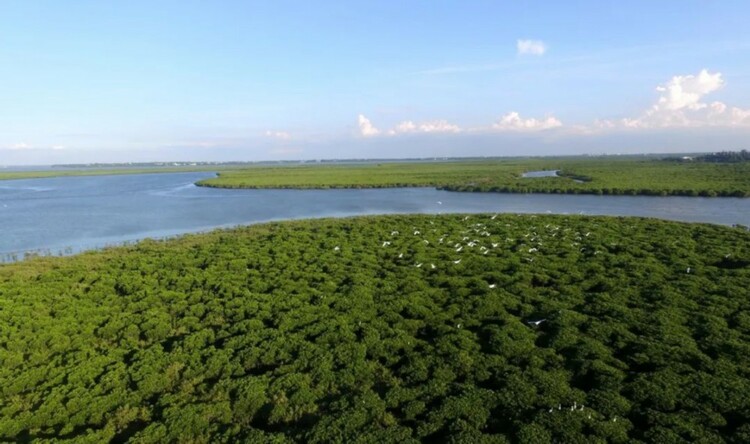 中国是全球湿地保护和合理利用的积极践行者