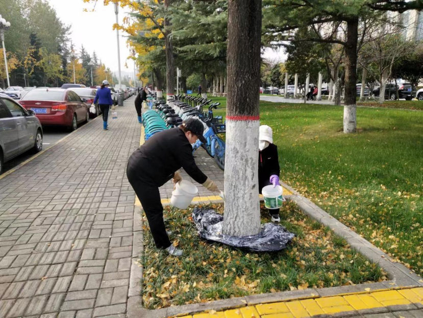 宝鸡金台区:树木喜穿“羽绒服” 美观保暖逾寒冬_fororder_图片2