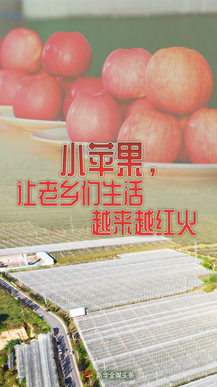 小苹果，让老乡们生活越来越红火——延安苹果产业发展观察