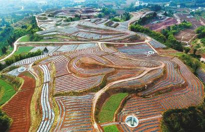 （头条，移动端）四川：不胜不休 坚决打好精准脱贫攻坚战