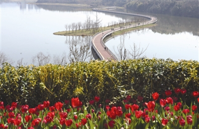 （今日热点1，导航成都，移动端）打好三大战役 成都将设7套“黑烟车”智能监控识别系统