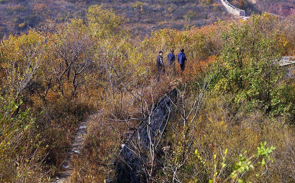 河北迁安:深秋长城美如画