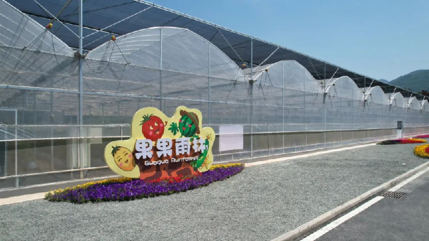 (转发)在实地体验中感受乡村振兴的力量西安高新区李家岩冬日采摘等你来!