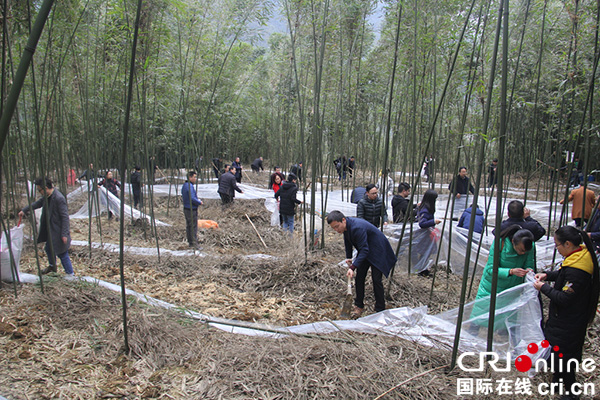 图片默认标题_fororder_覆膜增温