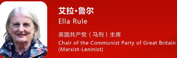英国共产党（马列）主席艾拉•鲁尔：赞赏中国式现代化道路