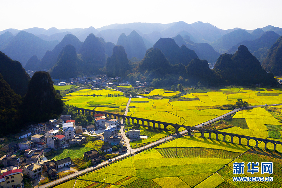 广西柳州：田园画卷里的“振兴之路”