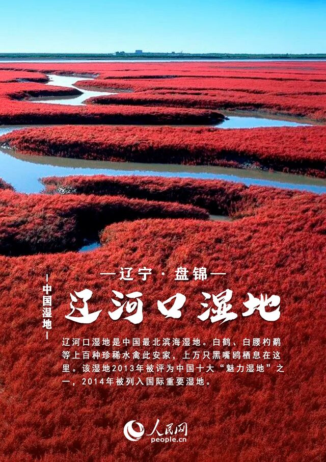 中国湿地大赏丨邀你共赏绝美风光 每张都值得收藏! 中国湿地大赏丨邀你共赏绝美风光 每张都值得收藏!