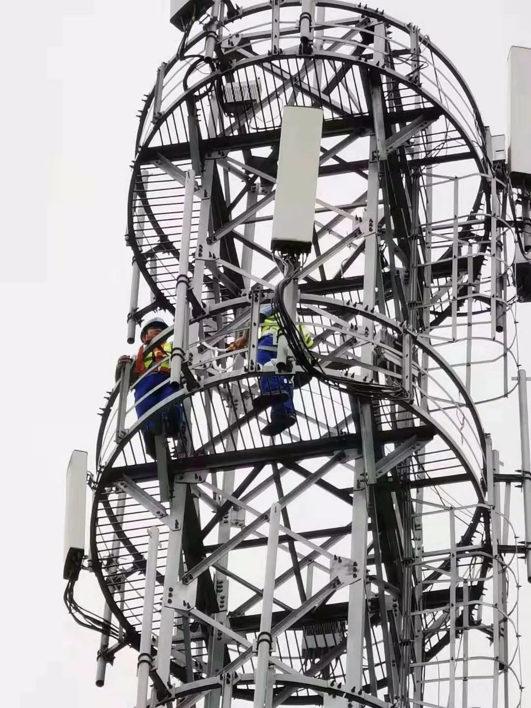 「中国网信网」中秋节，我们“不圆”只为它们更“圆”！