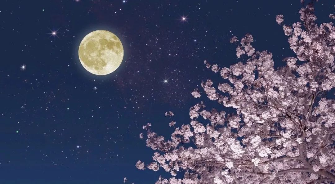 中国网信网■中秋佳节，共团圆！