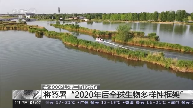 COP15第二阶段会议将取得哪些成果？专家解读→