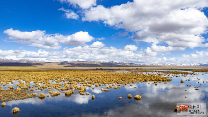 雪山、草原、花海、节日……在深秋的阿坝感受最淳朴的自然脉动