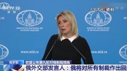 欧盟公布第九轮对俄制裁措施