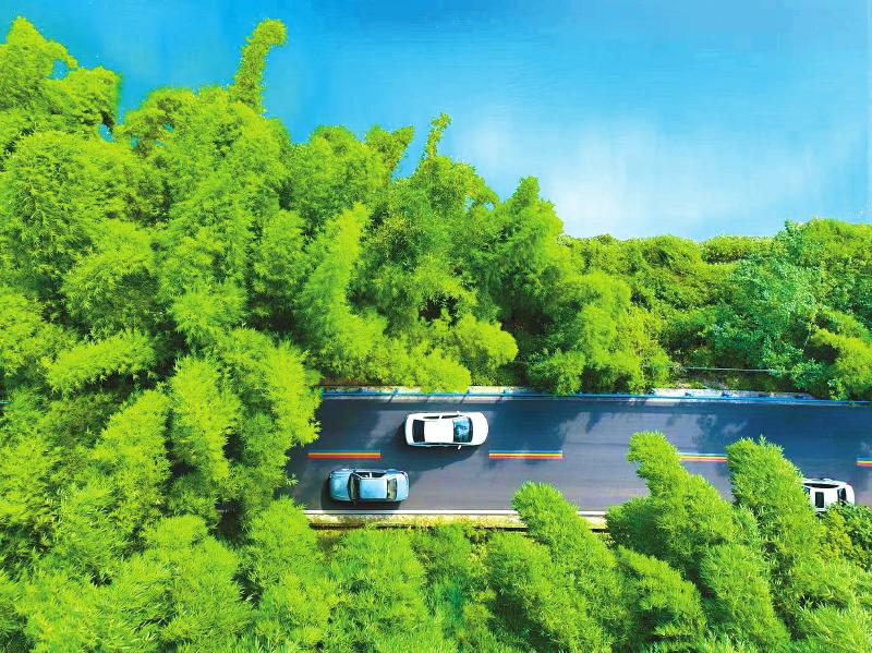 眉山青神:加“竹”马力 建设高质量发展的国际竹艺名城